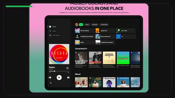 Spotify Premium APK Old Version Guide - Spotify app screenshot 3