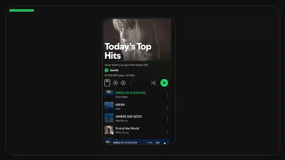 Spotify Premium APK on Low-RAM Android Phones - Spotify app screenshot 4
