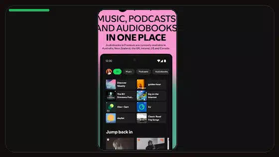 Spotify Premium APK Password and Login Best Practices - Spotify app screenshot 1