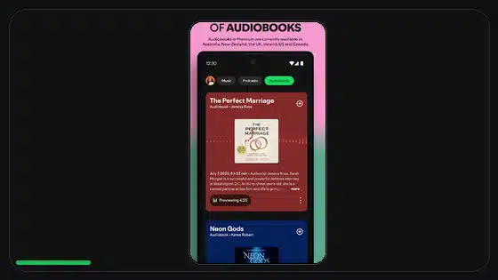 Spotify Premium APK Password and Login Best Practices - Spotify app screenshot 6