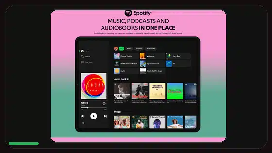 Spotify Premium APK Permissions Explained - Spotify app screenshot 3