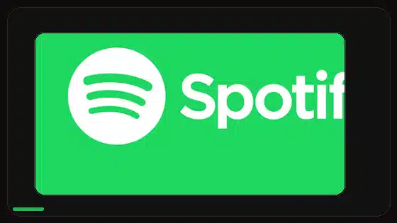 Spotify Premium APK Permissions Explained - Spotify app screenshot 9