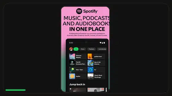 Spotify Premium APK Play Protect Warning Explained - Spotify app screenshot 1