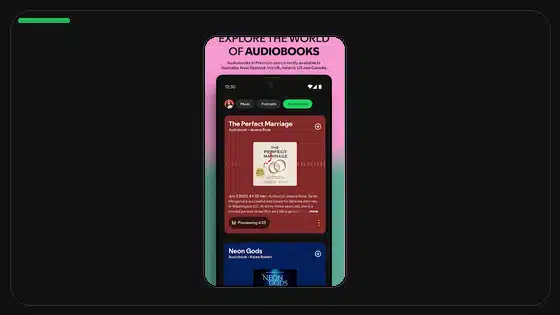 Spotify Premium APK Play Protect Warning Explained - Spotify app screenshot 6