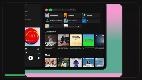 Spotify Premium APK Play Protect Warning Explained - Spotify app screenshot 9