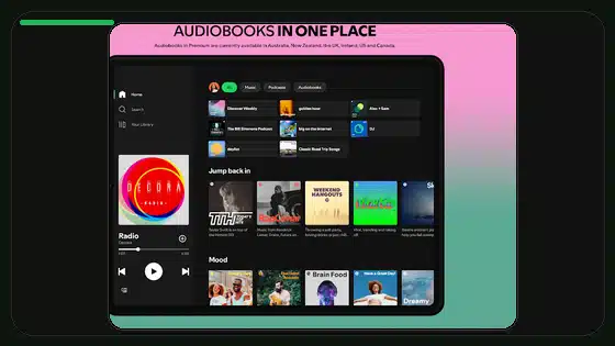 Spotify Premium APK Privacy Risks Explained - Spotify app screenshot 3