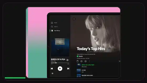Spotify Premium APK Privacy Risks Explained - Spotify app screenshot 4