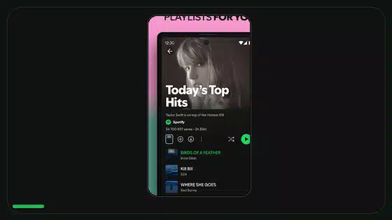 Spotify Premium APK Private Session Guide - Spotify app screenshot 4