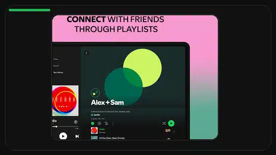 Spotify Premium APK Profile Privacy Settings - Spotify app screenshot 2