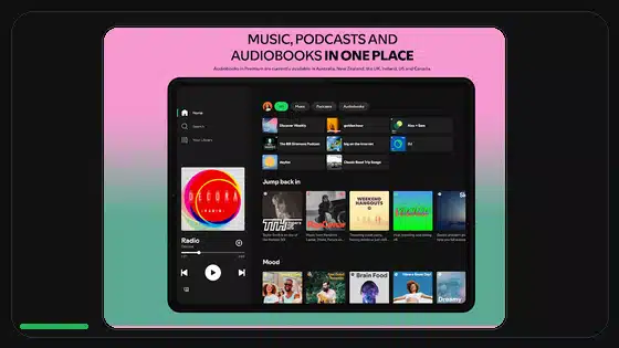Spotify Premium APK Profile Privacy Settings - Spotify app screenshot 3