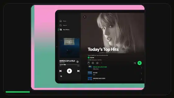 Spotify Premium APK Profile Privacy Settings - Spotify app screenshot 4