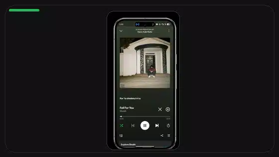 Spotify Premium APK Profile Privacy Settings - Spotify app screenshot 7