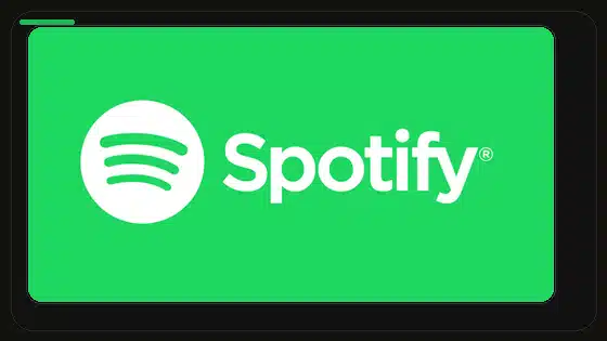 Spotify Premium APK Profile Privacy Settings - Spotify app screenshot 9