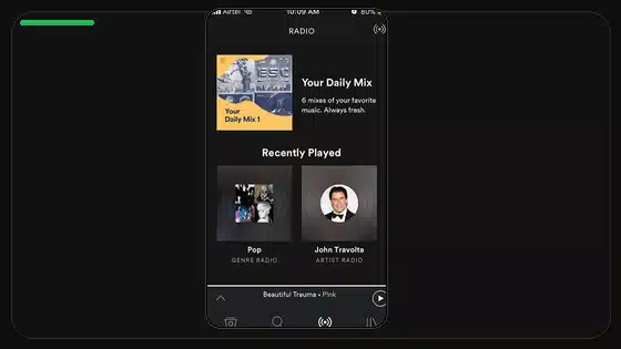 Spotify Premium APK Profile Privacy Settings - Spotify app screenshot 10