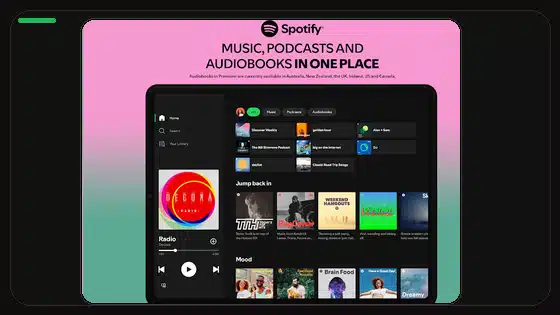 Spotify Premium APK Queue Controls Guide - Spotify app screenshot 9