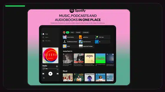 Spotify Premium APK Settings You Should Review - Spotify app screenshot 9