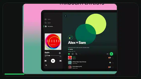 Spotify Premium APK Songs Not Playing Fix - Spotify app screenshot 2