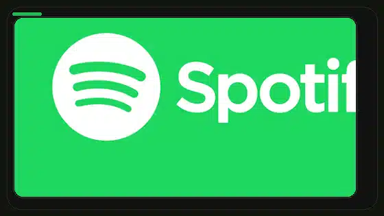 Spotify Premium APK Songs Not Playing Fix - Spotify app screenshot 9
