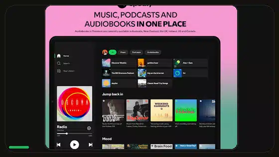 Spotify Premium APK Storage Permission Guide - Spotify app screenshot 3