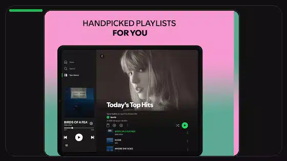 Spotify Premium APK Storage Permission Guide - Spotify app screenshot 4