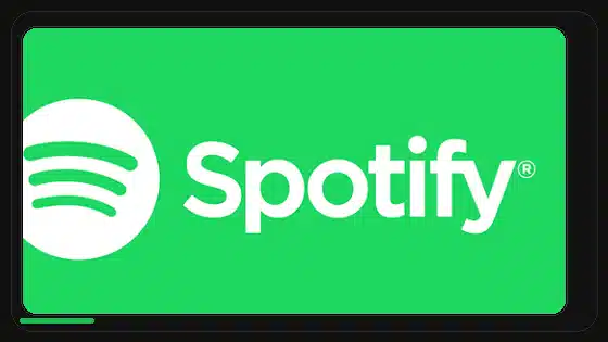 Spotify Premium APK Storage Permission Guide - Spotify app screenshot 9