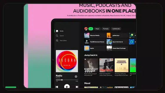 Spotify Premium APK Update Loop Fix - Spotify app screenshot 9