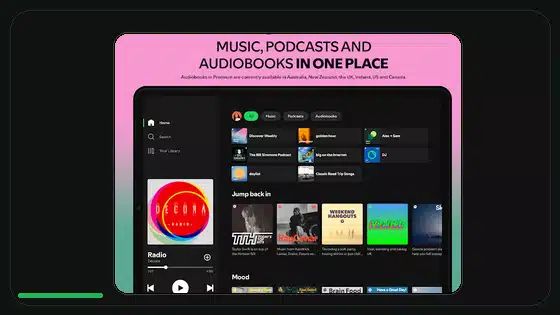 Spotify Premium APK Update Security Checklist - Spotify app screenshot 3