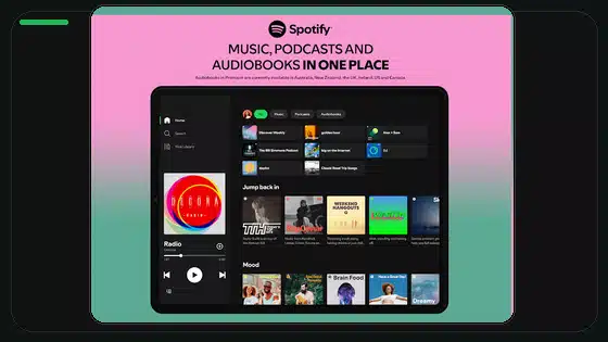 Spotify Premium APK vs Local Music Players - Spotify app screenshot 9
