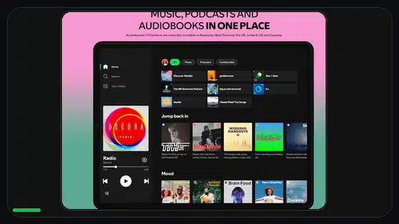 Unlimited Skips in Spotify Premium APK Explained - Spotify app screenshot 9