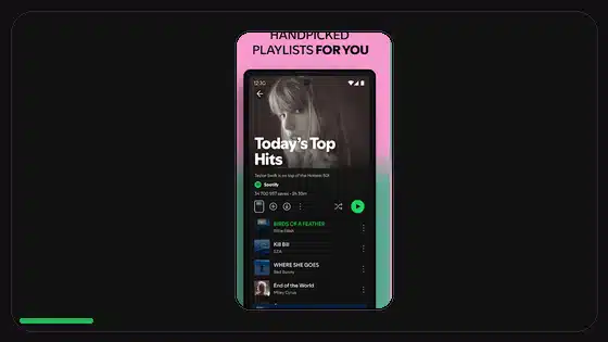 Cómo respaldar playlists de Spotify antes de actualizar - Spotify app screenshot 4