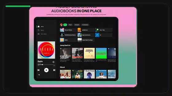Cómo comprobar hashes de APK en Android - Spotify app screenshot 3