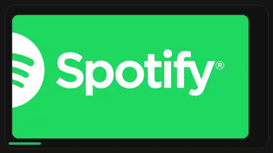 Cómo comprobar hashes de APK en Android - Spotify app screenshot 9