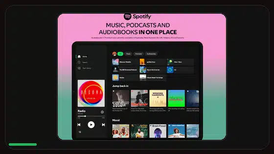 Cómo borrar la caché de Spotify en Android - Spotify app screenshot 3
