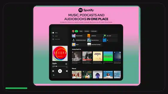 Cómo volver a una versión anterior de Spotify APK en Android - Spotify app screenshot 3