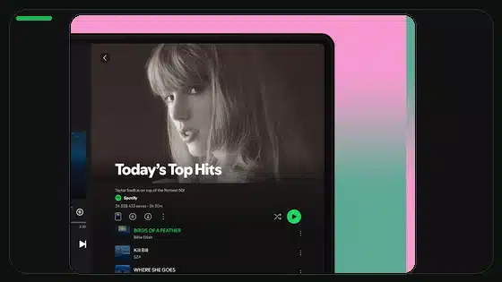 Cómo ahorrar datos móviles al usar Spotify - Spotify app screenshot 4