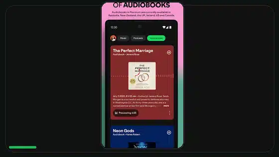 Cómo transferir playlists de Spotify entre cuentas - Spotify app screenshot 6
