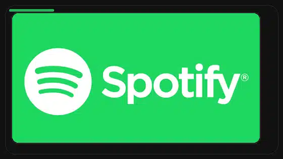 ¿Es seguro usar Spotify Premium APK? - Spotify app screenshot 9
