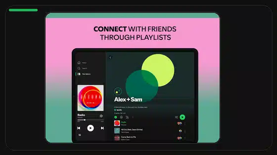 Variantes DPI de Spotify APK explicadas - Spotify app screenshot 2