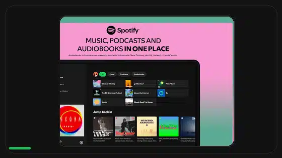 Variantes DPI de Spotify APK explicadas - Spotify app screenshot 3