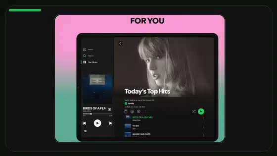 Variantes DPI de Spotify APK explicadas - Spotify app screenshot 4