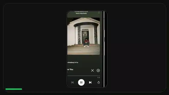 Variantes DPI de Spotify APK explicadas - Spotify app screenshot 7