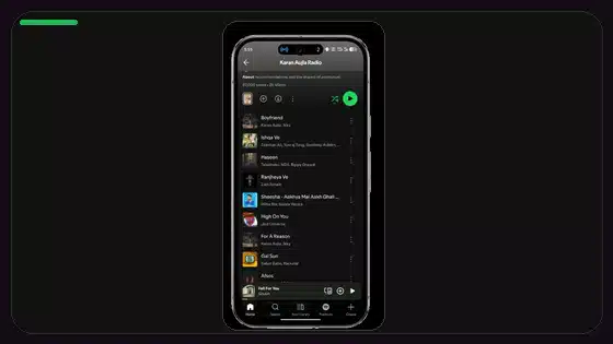 Variantes DPI de Spotify APK explicadas - Spotify app screenshot 8