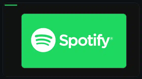 Variantes DPI de Spotify APK explicadas - Spotify app screenshot 9