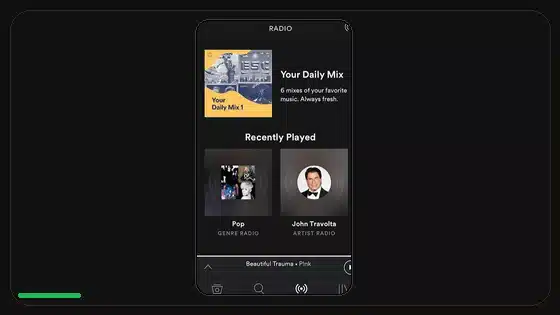 Variantes DPI de Spotify APK explicadas - Spotify app screenshot 10