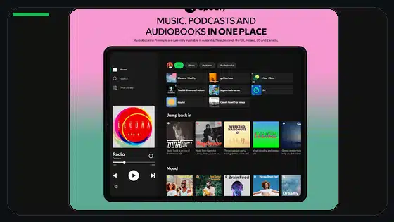 Guía de ahorro de datos y calidad de audio en Spotify - Spotify app screenshot 3