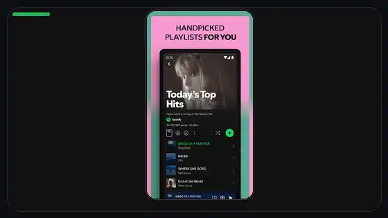 Ajuste de audio mono de Spotify explicado - Spotify app screenshot 4