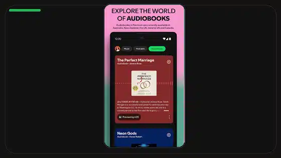 Ajuste de audio mono de Spotify explicado - Spotify app screenshot 6