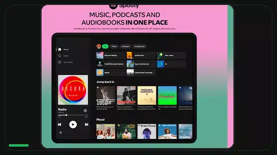 Ajuste de audio mono de Spotify explicado - Spotify app screenshot 9
