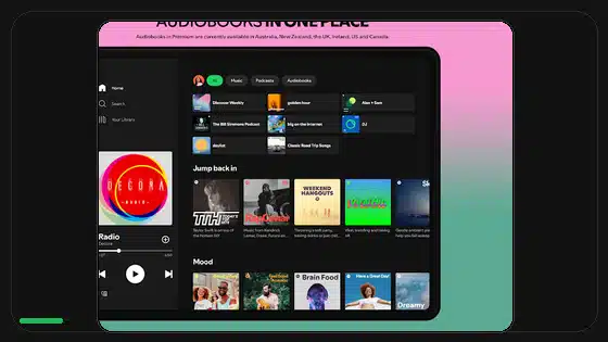 Solución al error App no instalada de Spotify Premium APK - Spotify app screenshot 9