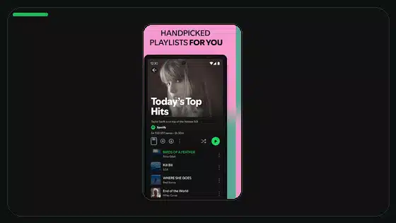 Función Automix de Spotify Premium APK explicada - Spotify app screenshot 4